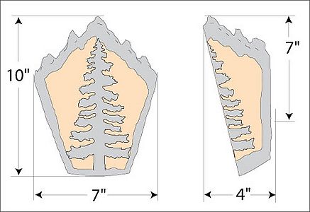 Decatur Sconce - Cedar Tree Wall Light Trees Metal Art