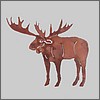 Rustic Moose