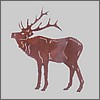 Mountain Elk Rustic Lights