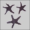 Rustic Metal Art Lights: Starfish