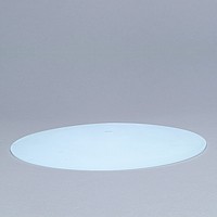 Flat Bowl Glass-12in diameter