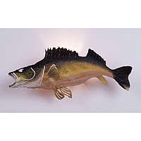 Walleye Fish Sconce