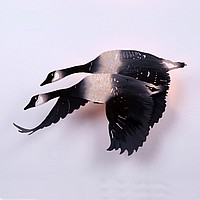 Flying Geese Sconce